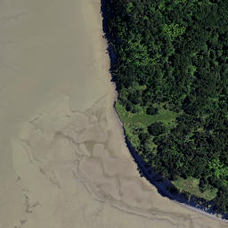 Satellite imagery of Motukokako Point, NZ