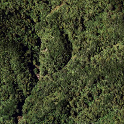 Satellite imagery of 7111, NZ