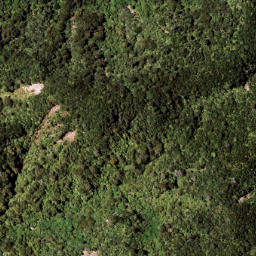 Satellite imagery of 7111, NZ