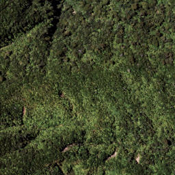 Satellite imagery of 7111, NZ