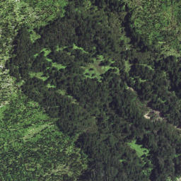 Satellite imagery of 7131, NZ