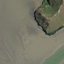 Satellite imagery of Motukokako Point, NZ