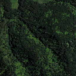 Satellite imagery of RAWHITIROA NO 2, NZ