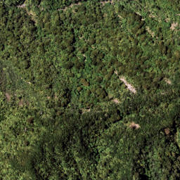 Satellite imagery of 7111, NZ