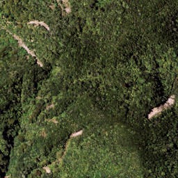Satellite imagery of 7111, NZ