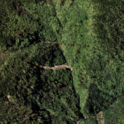 Satellite imagery of 7111, NZ