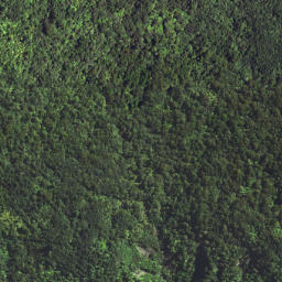 Satellite imagery of 7132, NZ