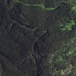 Satellite imagery of T54 WHAKAANGIANGI, NZ