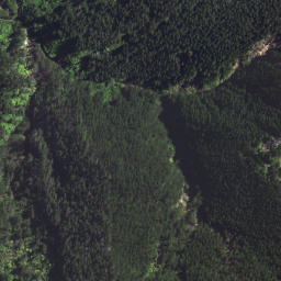 Satellite imagery of T54 WHAKAANGIANGI, NZ