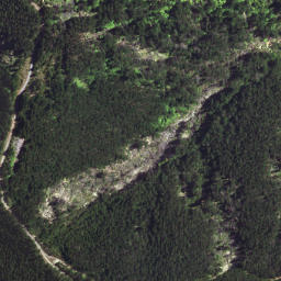 Satellite imagery of T54 WHAKAANGIANGI, NZ