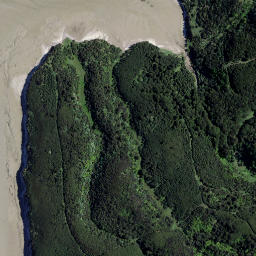 Satellite imagery of Pirere Point, NZ
