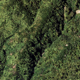 Satellite imagery of 7111, NZ