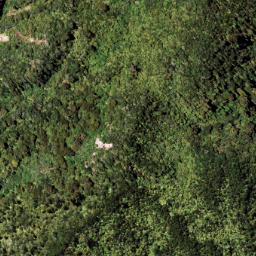 Satellite imagery of 7111, NZ