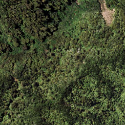 Satellite imagery of 7111, NZ