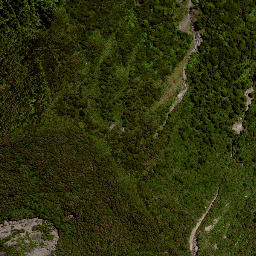 Satellite imagery of RAUKUMARA, NZ