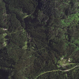 Satellite imagery of T54 WHAKAANGIANGI, NZ