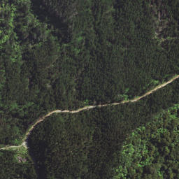Satellite imagery of T54 WHAKAANGIANGI, NZ