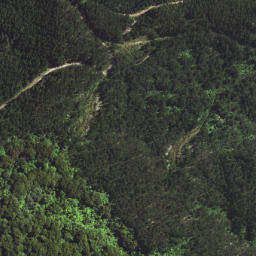 Satellite imagery of T54 WHAKAANGIANGI, NZ