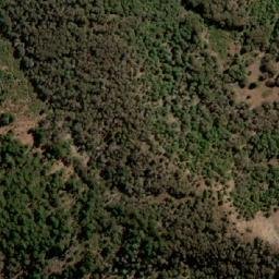 Satellite imagery of Cerro Trilile, CL