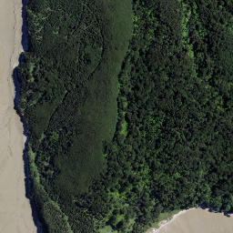 Satellite imagery of Paroa Point, NZ