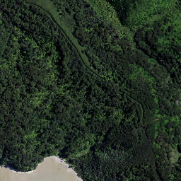 Satellite imagery of Paroa Point, NZ