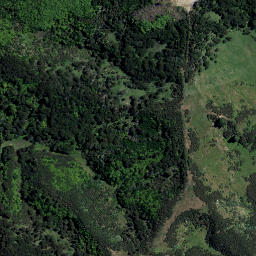 Satellite imagery of Paroa Point, NZ