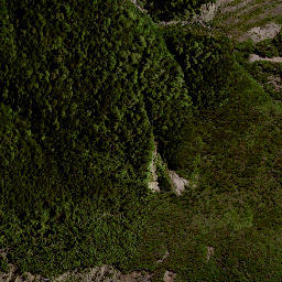 Satellite imagery of RAUKUMARA, NZ