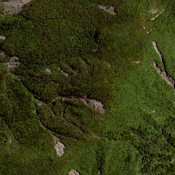 Satellite imagery of RAUKUMARA, NZ