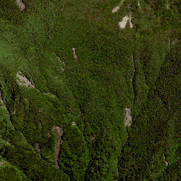 Satellite imagery of RAUKUMARA, NZ