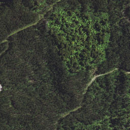 Satellite imagery of T54 WHAKAANGIANGI, NZ