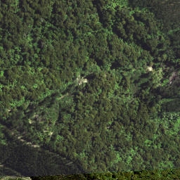 Satellite imagery of T54 WHAKAANGIANGI, NZ