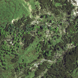 Satellite imagery of 7213, NZ
