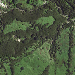 Satellite imagery of 7213, NZ