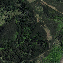 Satellite imagery of Paroa Point, NZ