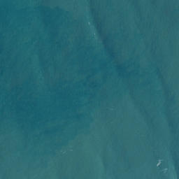 Satellite imagery of Te Kaha Point (Mussel Rocks), NZ