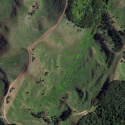 Satellite imagery of E (Whaingaroa SD), NZ