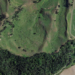 Satellite imagery of E (Whaingaroa SD), NZ