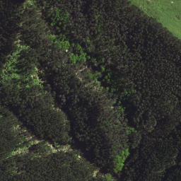 Satellite imagery of 7213, NZ