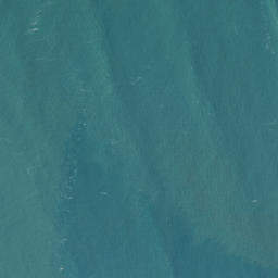 Satellite imagery of Te Kaha Point (Mussel Rocks), NZ