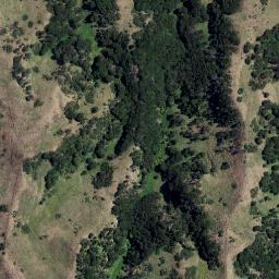 Satellite imagery of TARAKIHI NO 2, NZ