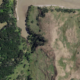 Satellite imagery of TARAKIHI NO 2, NZ
