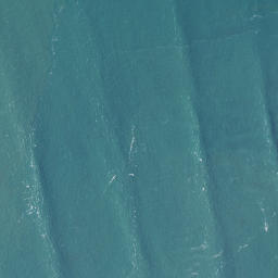 Satellite imagery of Te Kaha Point (Mussel Rocks), NZ