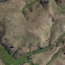 Satellite imagery of Hauraki Point, NZ