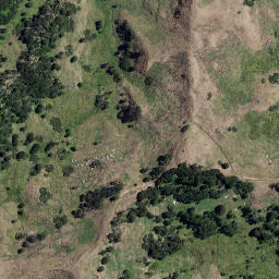 Satellite imagery of TARAKIHI NO 2, NZ