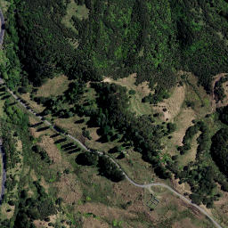Satellite imagery of RANUI, NZ