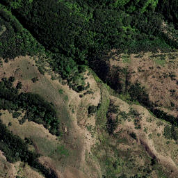Satellite imagery of RANUI, NZ