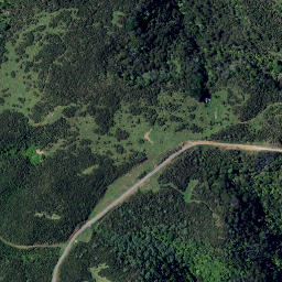Satellite imagery of Marotaka Point, NZ
