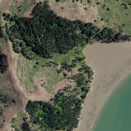 Satellite imagery of The Finger, NZ