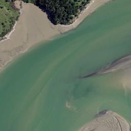 Satellite imagery of The Finger, NZ