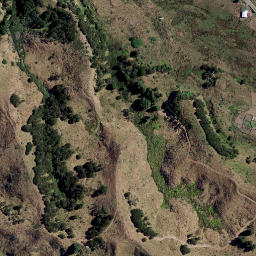 Satellite imagery of RANUI, NZ
